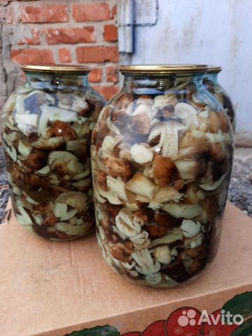 Грибы Валуи