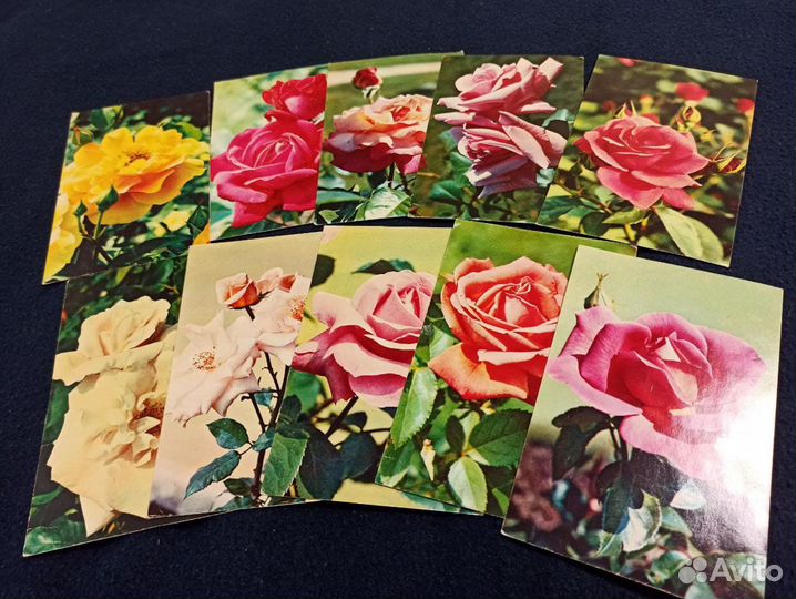 Открытки советские с розами 1973-1974 год 10 шт