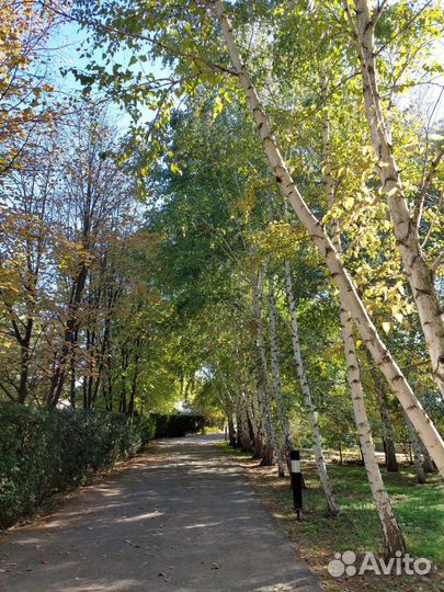 Беседка с мангалом в аренду