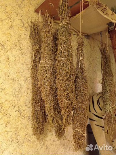 Лекарственные травы