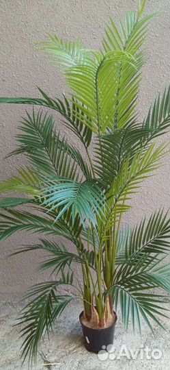 Пальмы, папоротники для интерьера, искусственные