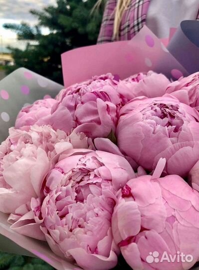 Пионы Розы Доставка