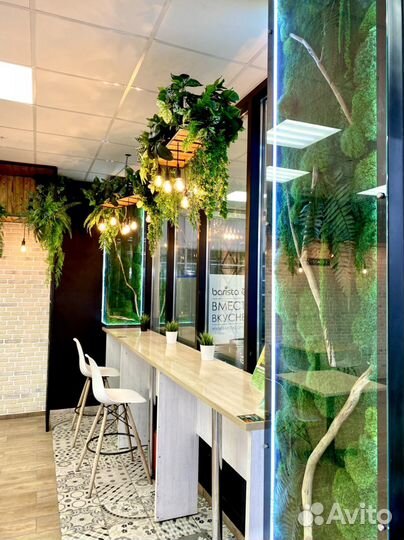 Ягель. Стабилизированный мох.Озеленение.Фитостена