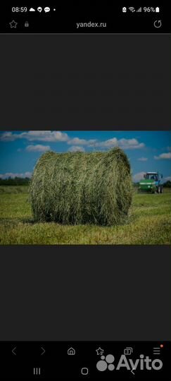 Сено в рулонах