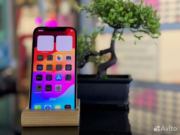 iPhone 12 Pro Max, 256 ГБ