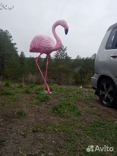 Фламинго
