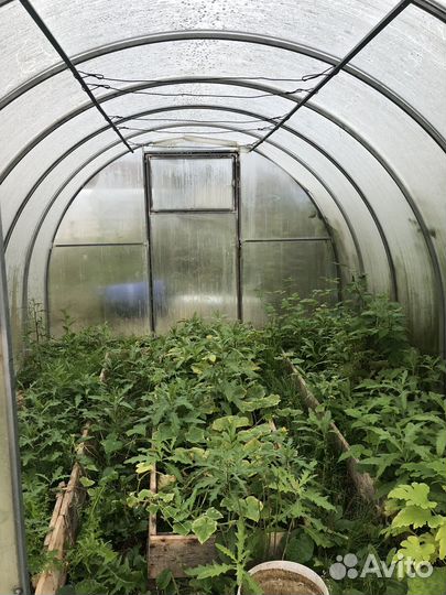 Теплица поликарбонат 3 на 4, бу