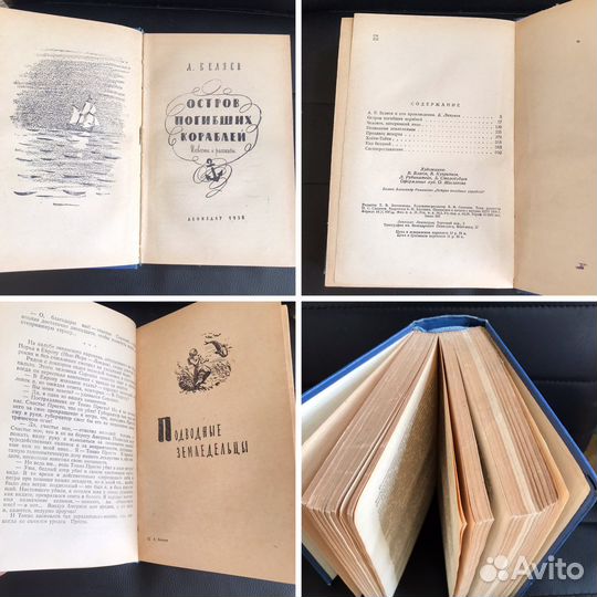 Отважная охотница Т.Майн Рид