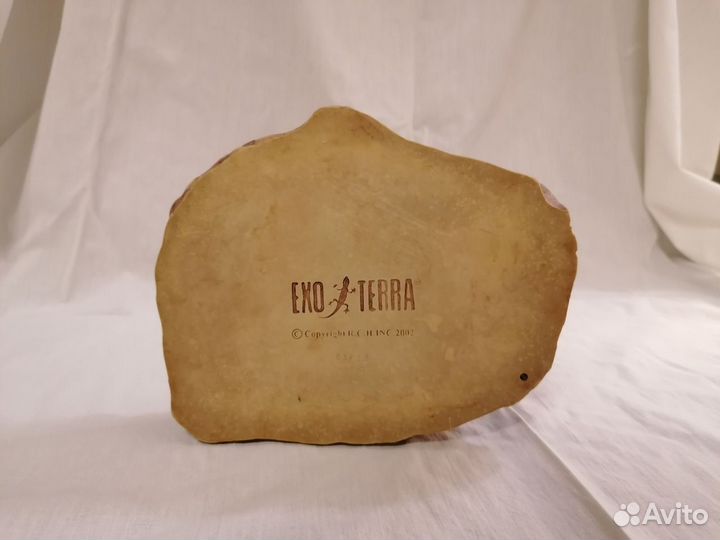 Взрослый маисовый полоз + террариум с наполнением