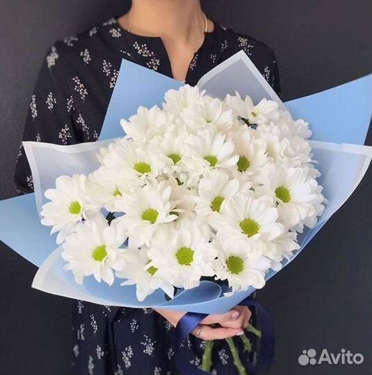 Хризантема Доставка цветов