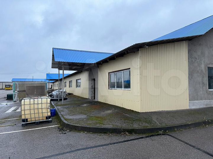 Свободного назначения, 560 м²