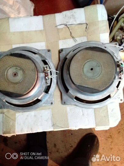 Динамик 10 гд 30