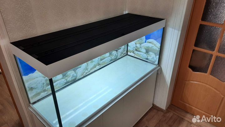 Аквариумы до 200 см