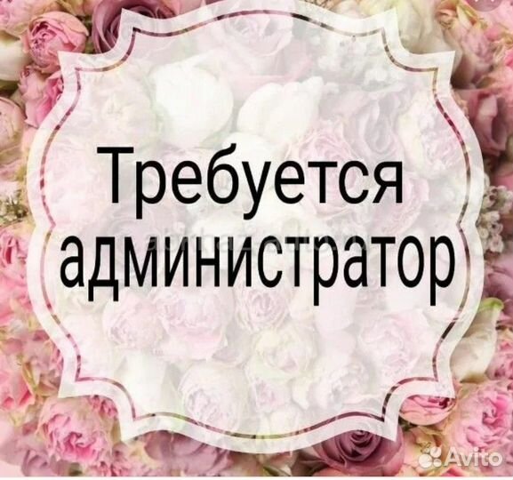 Старший администратор в доставку