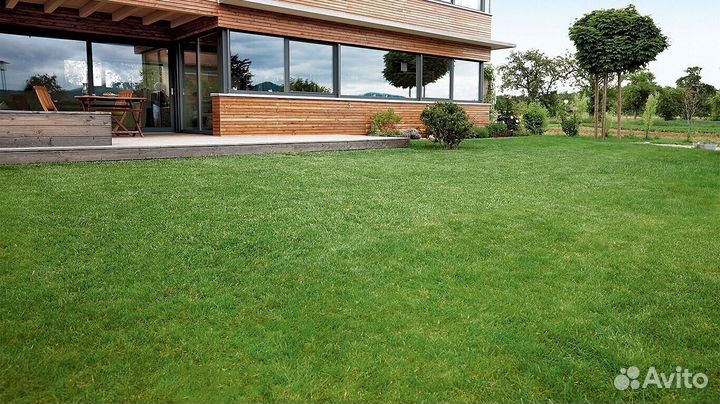 Продажа Рулонного газона, производитель