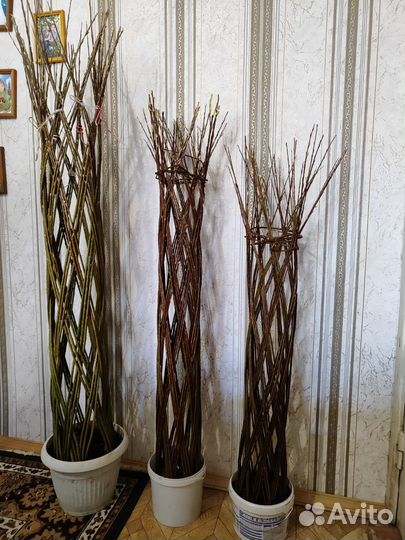 Плетенное дерево из ивы(возможна бронь на 25год)