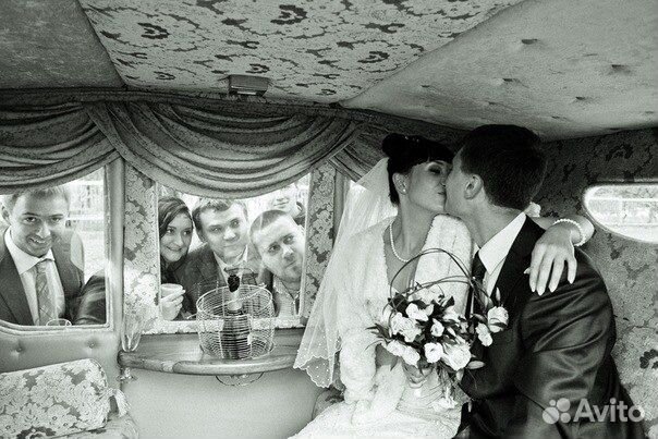 Карета для лошади