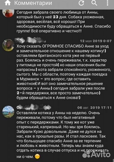 Передержка животных