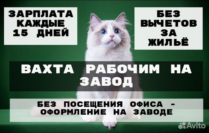 Вахта упаковщиком на завод с проживанием