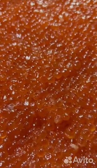 Красная икра оптом