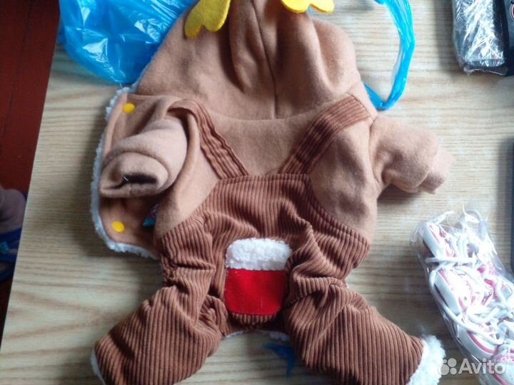 Одежда для маленьких собак