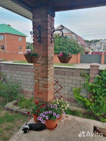 Кронштейн для подвесных горшков