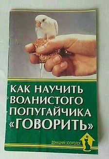 Как научить волнистого попугайчика
