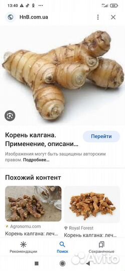 Корень калгана