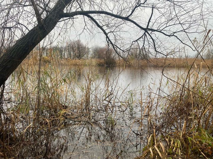 Участок 2,95 га (ИЖС)