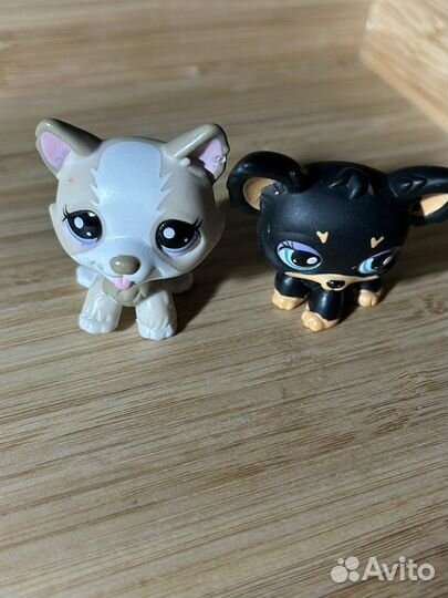 Littlest Pet Shop