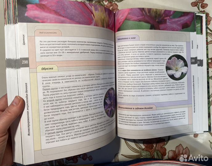 Книга иллюстрированная энциклопедия дачника