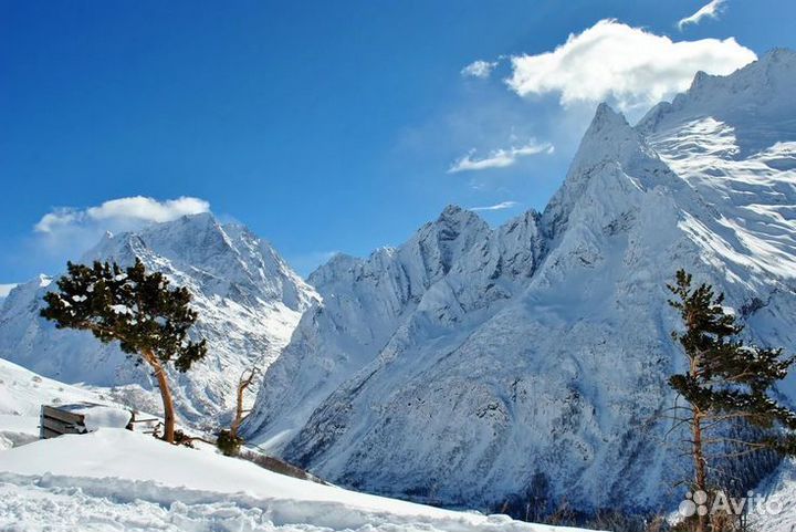 Тур из Ростова в Домбай