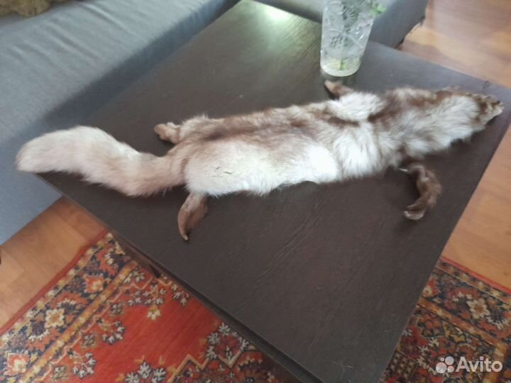 Мех песец чулок