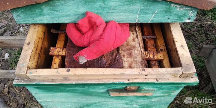 Ящики для пчел