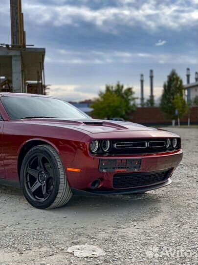 Dodge Challenger 3.6 AT, 2019, 14 500 км