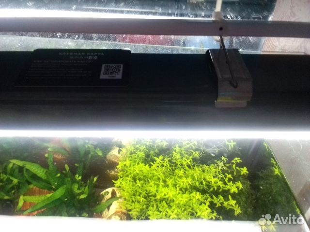 Линейный светильник Philips WT066C NW LED18 L600