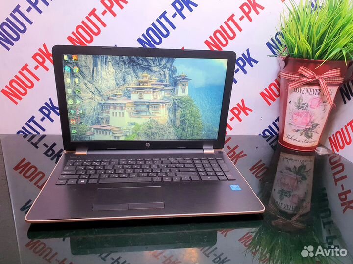 Ноутбук HP /8гб/ssd/A836