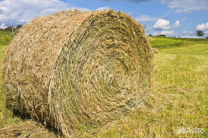 Шпагат сеновязальный