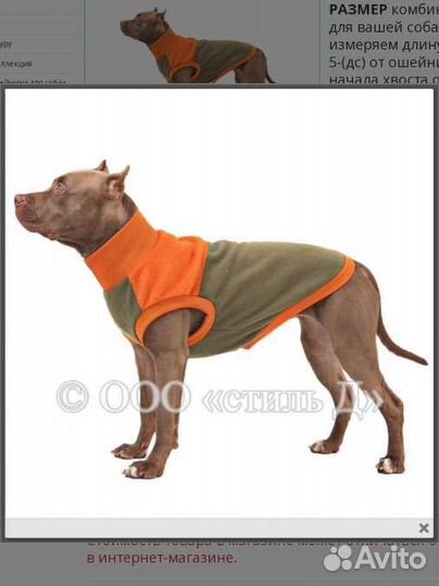 Жилетка для собак больших пород