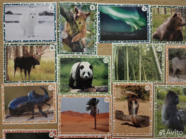 Наклейки Живая Планета (пуд)