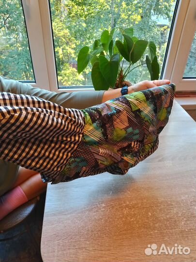 Одежда для собак