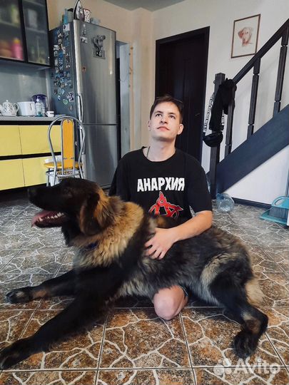 Водитель категории B