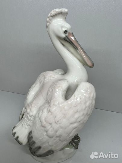 Птица Пеликан лфз