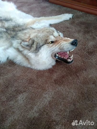 Имитация шкуры волка(на подкладе )