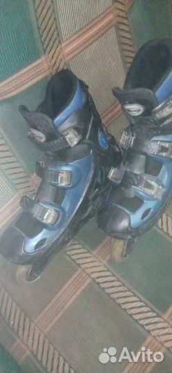 Ролики для взрослых