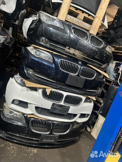 Ноускаты ф10 ф02