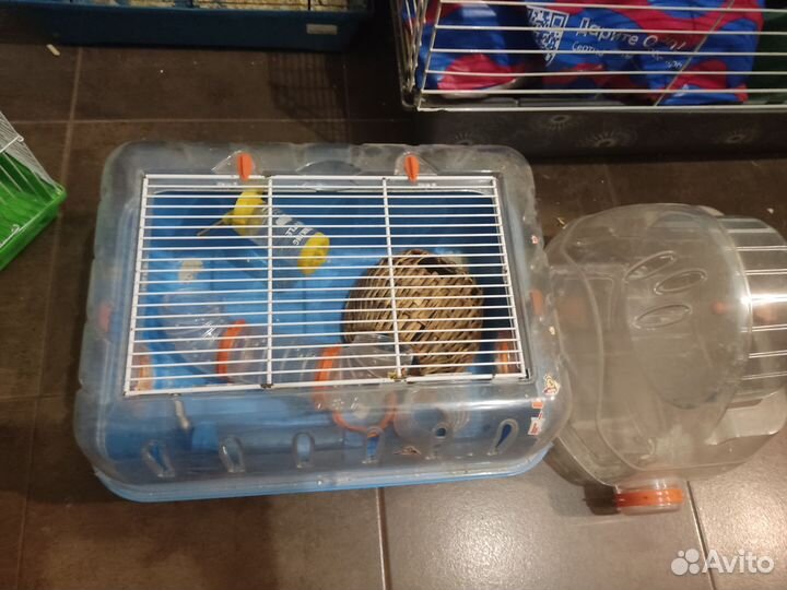 Товары для грызунов