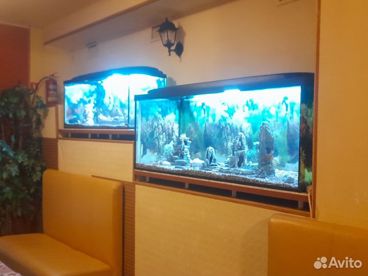 Аквариум