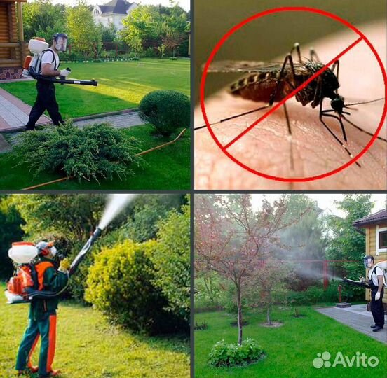Обработка территории от комаров, клещей, муравьёв