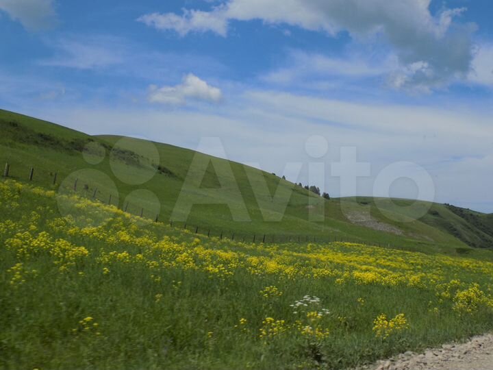 Участок 34 га (СНТ, ДНП)